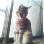 マーさん