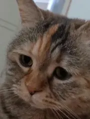 たなかの画像