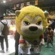 こぶた