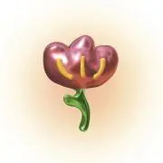 あさりの画像