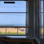 Tyの画像
