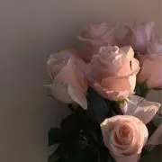 8月9日~11日発送不可✖️の画像