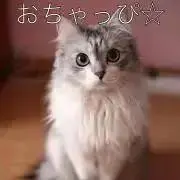 おちゃっぴ☆プロフ読んでね♪の画像