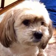 ゆきぽん ★