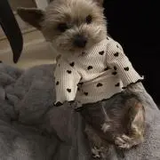 ありしゃんの画像