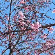 ゆら⭐︎の画像