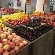 ベアの画像