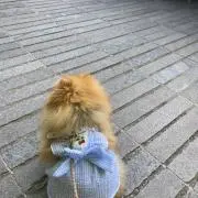 S☆（全商品お値引き不可です）の画像