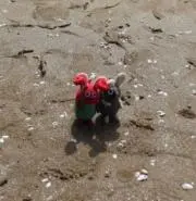 綾ちゃん