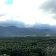 しずる