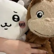 みの画像