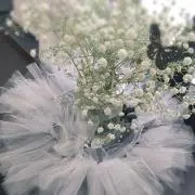 blancalily＊の画像