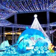 Tomo＊プロフ読んでね♪＊