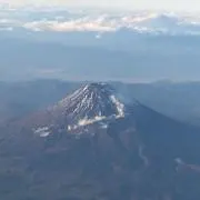 ぽちの画像