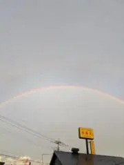ひかゆの画像