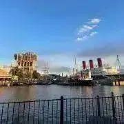 Y