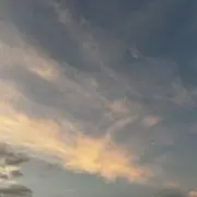 しーなもんの画像