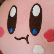キョコナの画像