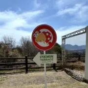 ぴのの画像