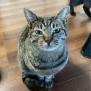 HKの画像
