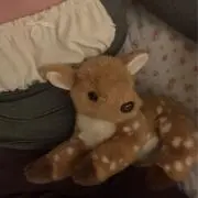 わんわんの画像