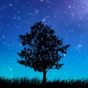 星空の画像