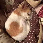 こうちゃん