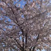 こっちゃん