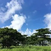 りり子の画像