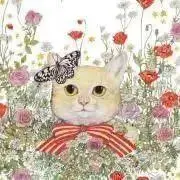 りりの画像