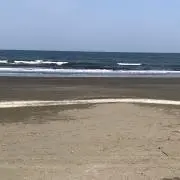 Mikiの画像