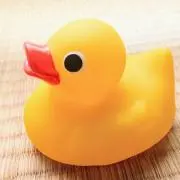 ぽここ丸の画像