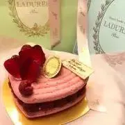 ルミエールの画像