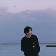 ヴィ