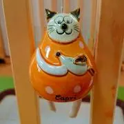 カブの画像