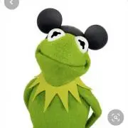 貴重 【限定 500】Sowa&Reiser ディズニー ドナルド 版画 貴重 【限定 500】Sowa&Reiser ディズニー ドナルド 版画