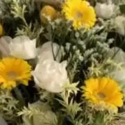 tの画像