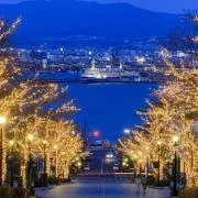 i sの画像