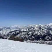 ミスタービーーン