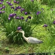 Re:の画像