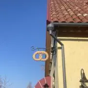 yuの画像