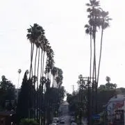 tm13