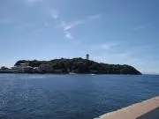 サムの画像