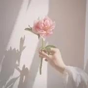 Luna¨̮♡︎プロフみてね♪