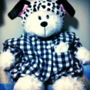 Image of チェックシャツを着たクマくん