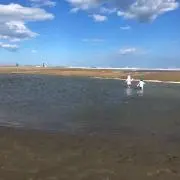まめた＊プロフ必見の画像