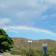 きんたろう