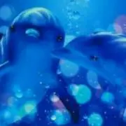 とんとんの画像