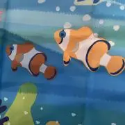 くまのみの画像