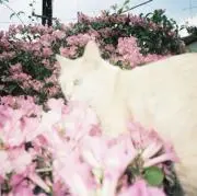 2048の画像